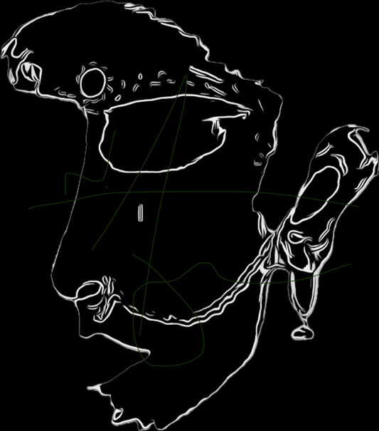 “Chup rehna maut hai” “Silence is death” NaCreative Art-Wear Crop Hoodie